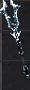 Master Scepter