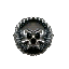 Buckler +2