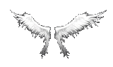 Angel Wings [W1-DW]